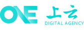 东洲区软件开发公司